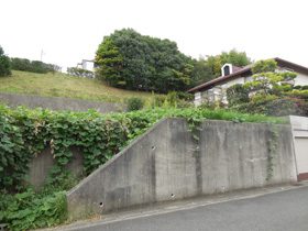 p-01