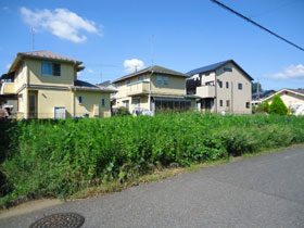 p-01