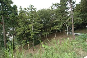 p-01