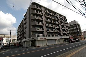 p-01