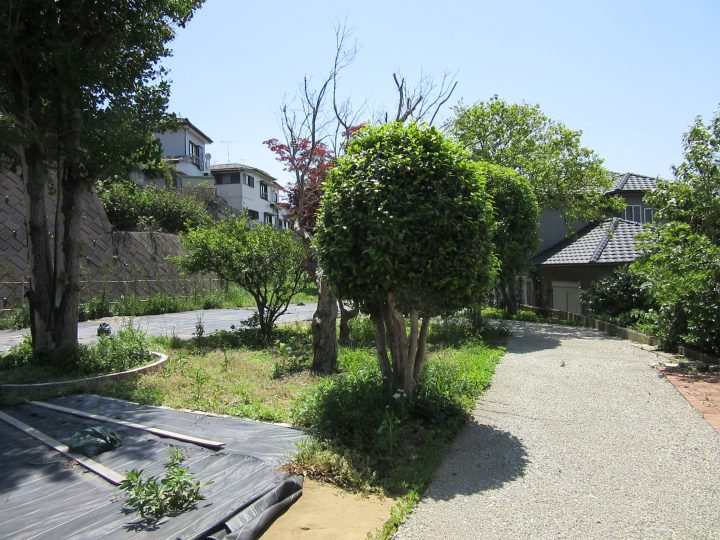 15335市原市山木土地