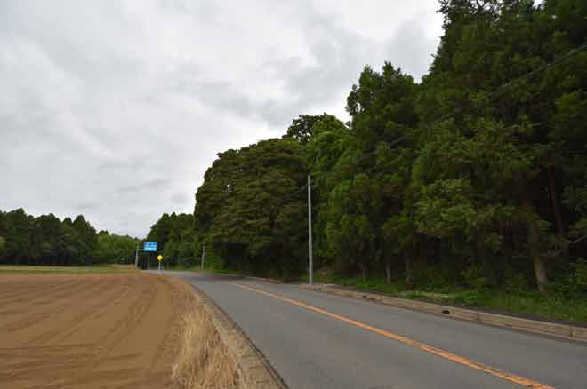 15693多古町染井土地