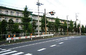 p-01