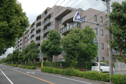 ユーカリが丘宮ノ台ハイツ (2)