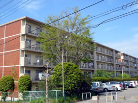 p-01