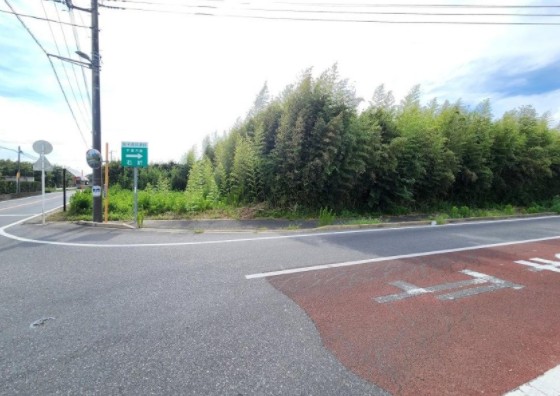 メイン_2025y07m13d_152011036
