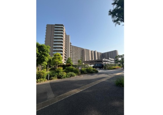 メイン_2025y11m16d_145313933