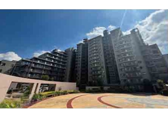 メイン_2025y12m04d_164910190