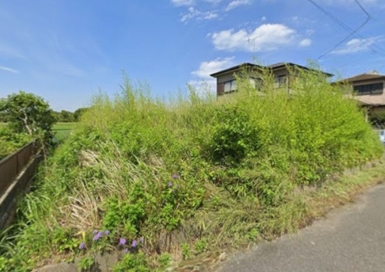 メイン_2026y01m18d_144433338