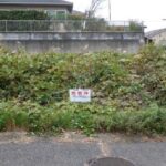 メイン_2026y01m18d_151253169