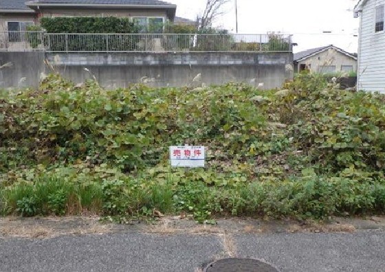 メイン_2026y01m18d_151253169