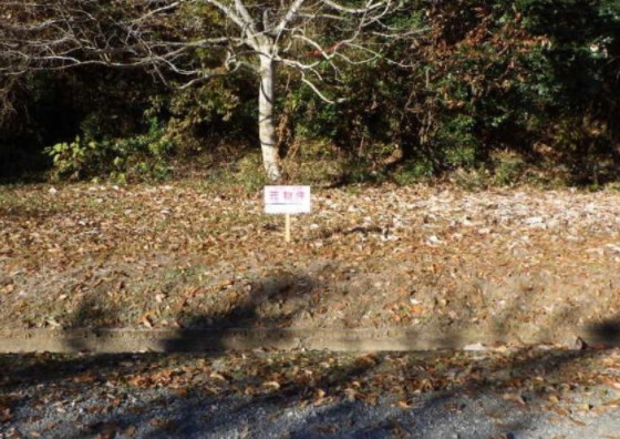 メイン_2026y02m22d_131603175