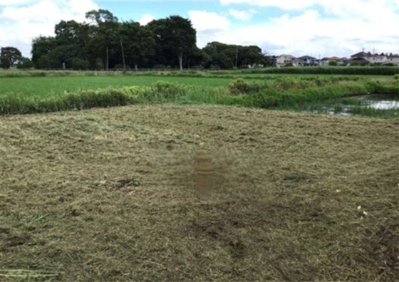 メイン_2026y03m15d_144903263