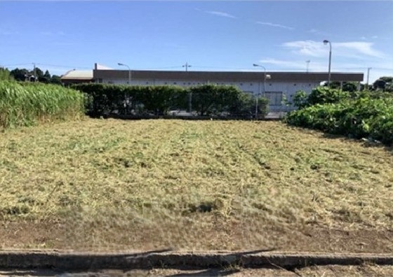 メイン_2026y03m15d_133147190