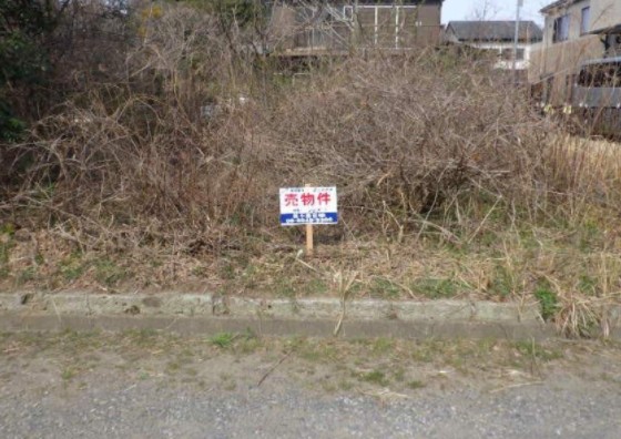 メイン_2026y04m05d_111138752